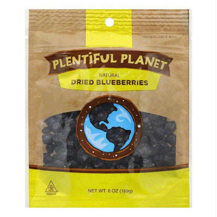 Plentiful Planet Blueberry Fruit Bag, 6 OZ (Pack of 6)